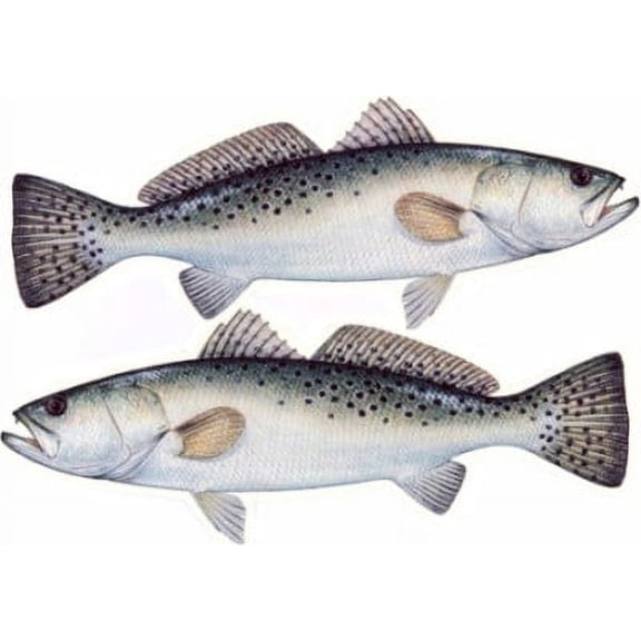 Fish Stix Sea Trout Sticker Twin Pack