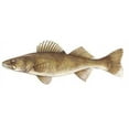 thumbnail image 1 of Fish Stix Wall Decal, 1 of 1