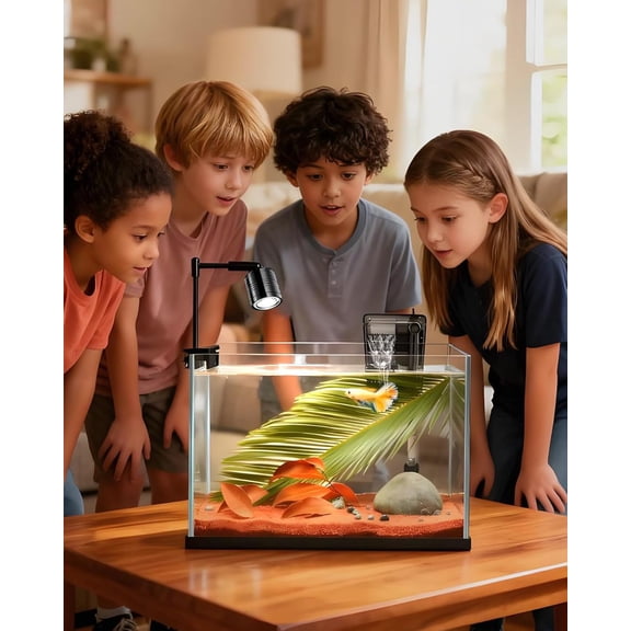 Fish Tank, 3 Gallon Ultra-Clear Glass Fish Aquarium, with Separator Plate for Betta, Fish Tank Starter kit with Filter and Adjustable Led Light, White