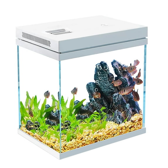 Fish Tank, 4 Gallon Nano-Aquarium, Upgrade Filter System and LED Light, for Freshwater & Marine, Filter Balls Included (4 Gal)