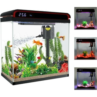 10 Gallon Fish Tank in Fish Tanks Walmart