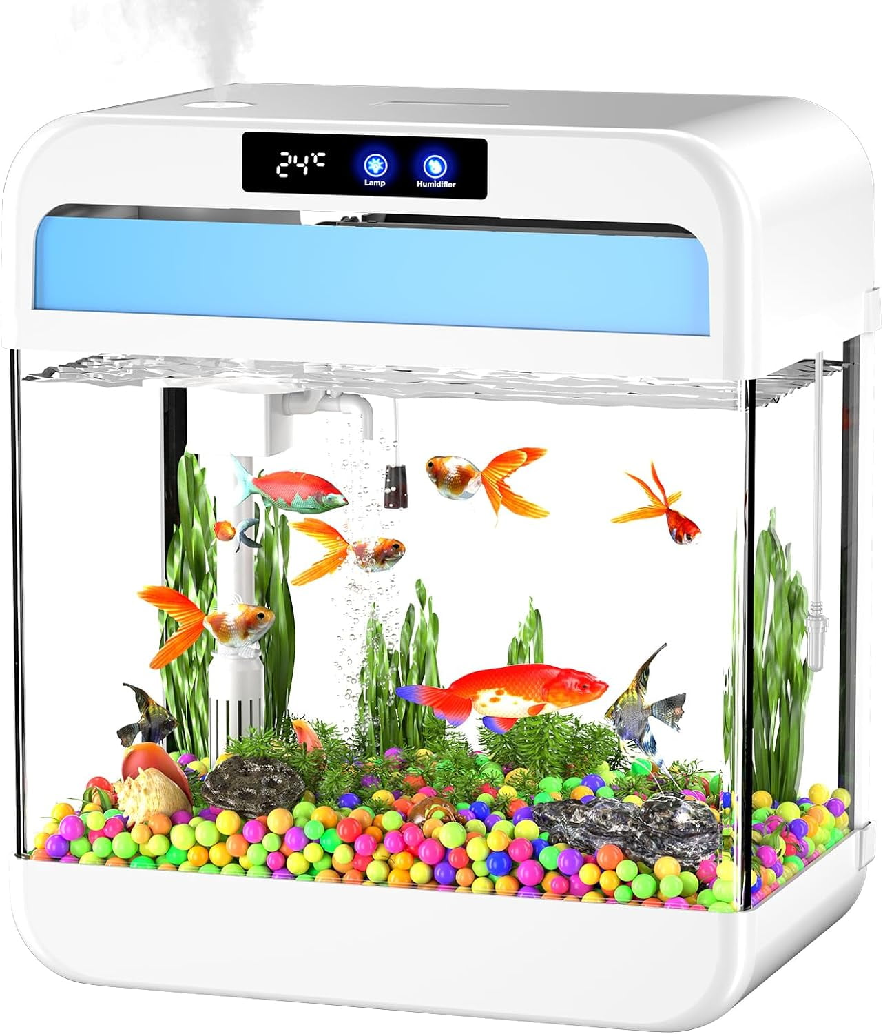 7 gallon fish tank 2025