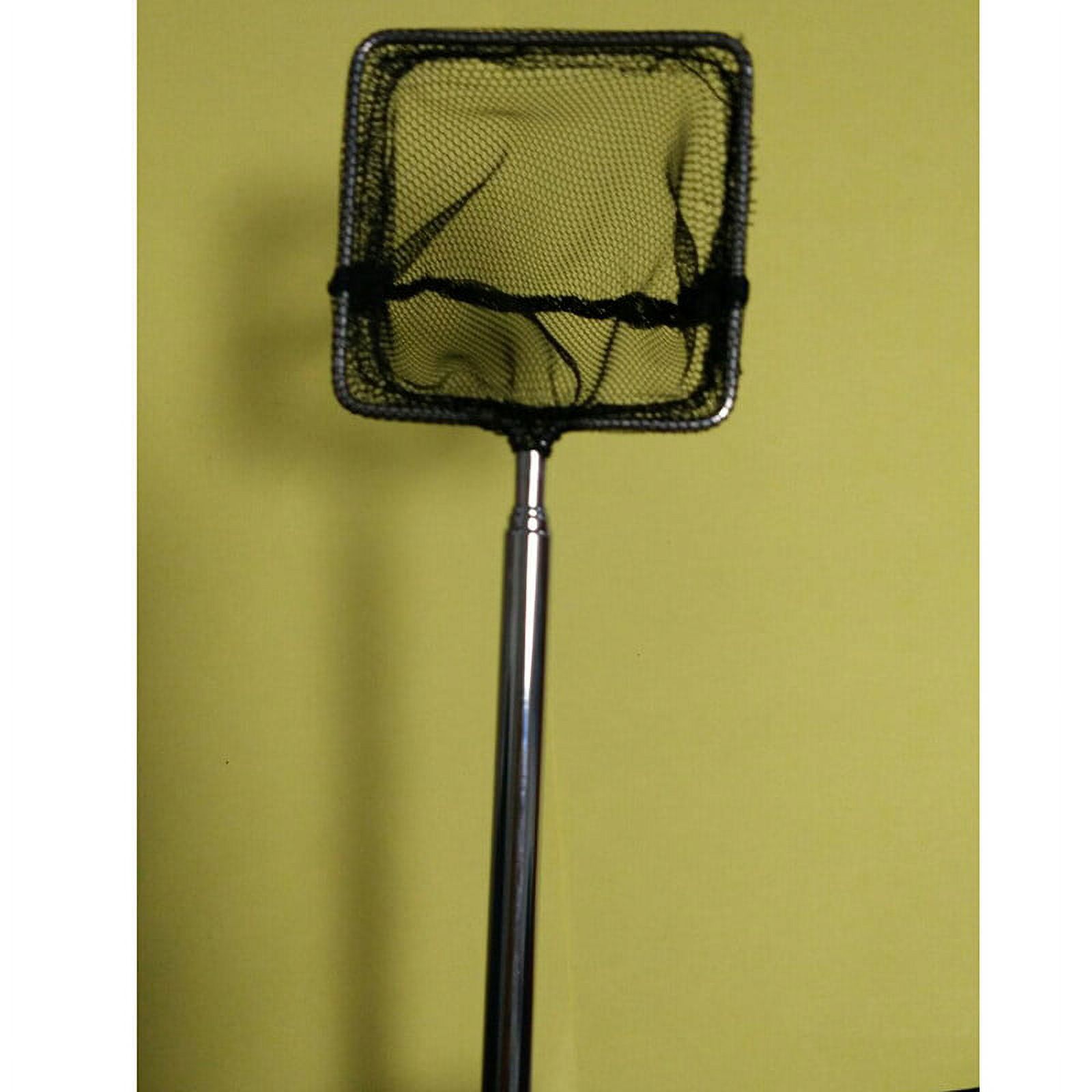 Retractable In Fish Fish Tank Aquarium Shrimp Retractable Square Small Betta Net (Black ...
