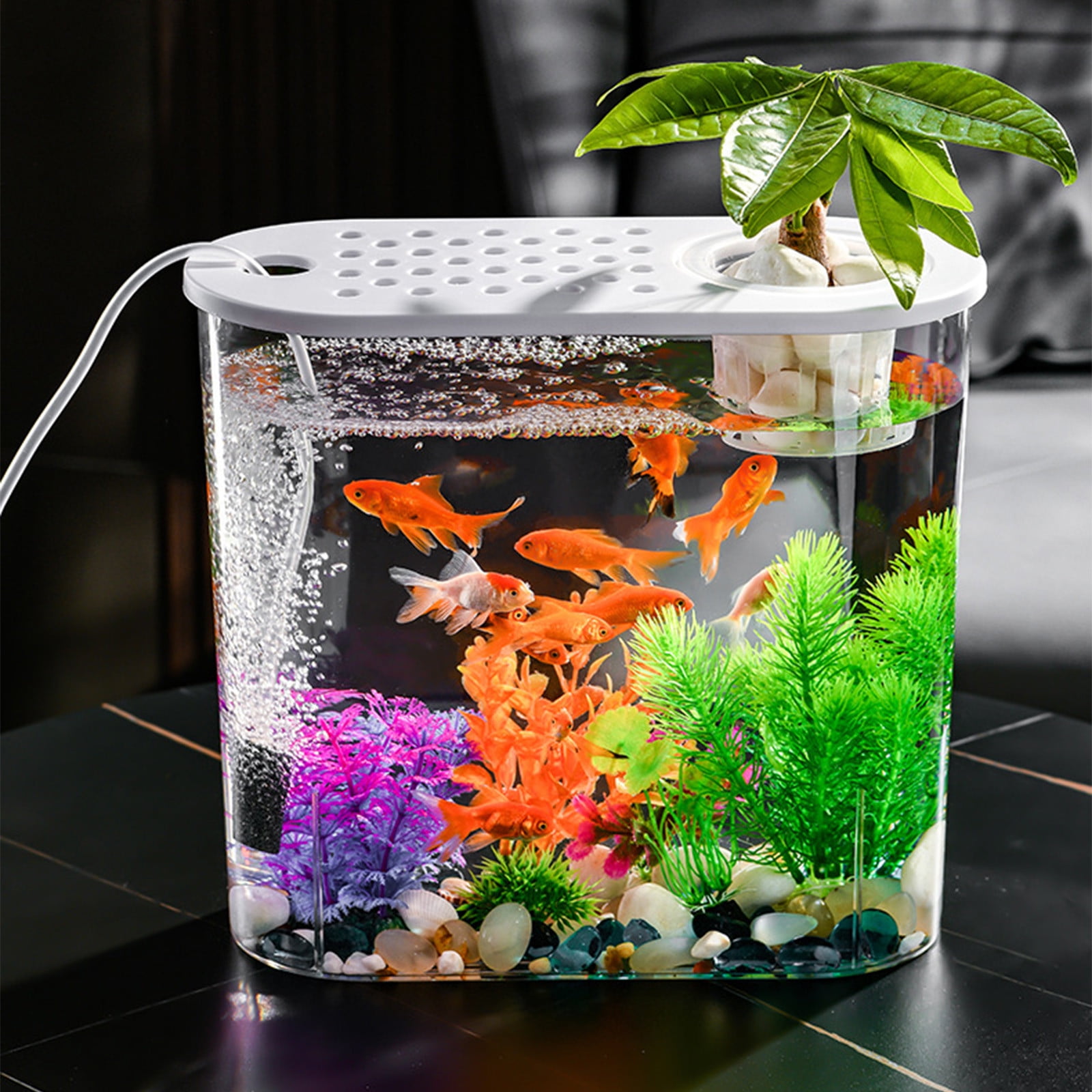 Betta Mini Fish Tank with Color LED Light Aquarium Set Includes Start Accessories 0.5 Gallon Transparent for Kids Walmart