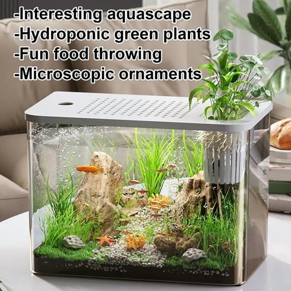 View of Fish Tank Aquarium Transparent Desktop Tank Turtle Aquarium Small ...