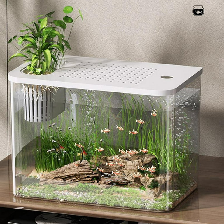 Fish Tank Aquarium Transparent Desktop Tank Turtle Aquarium Small Aquariums Decorative Fish Container for Fish White