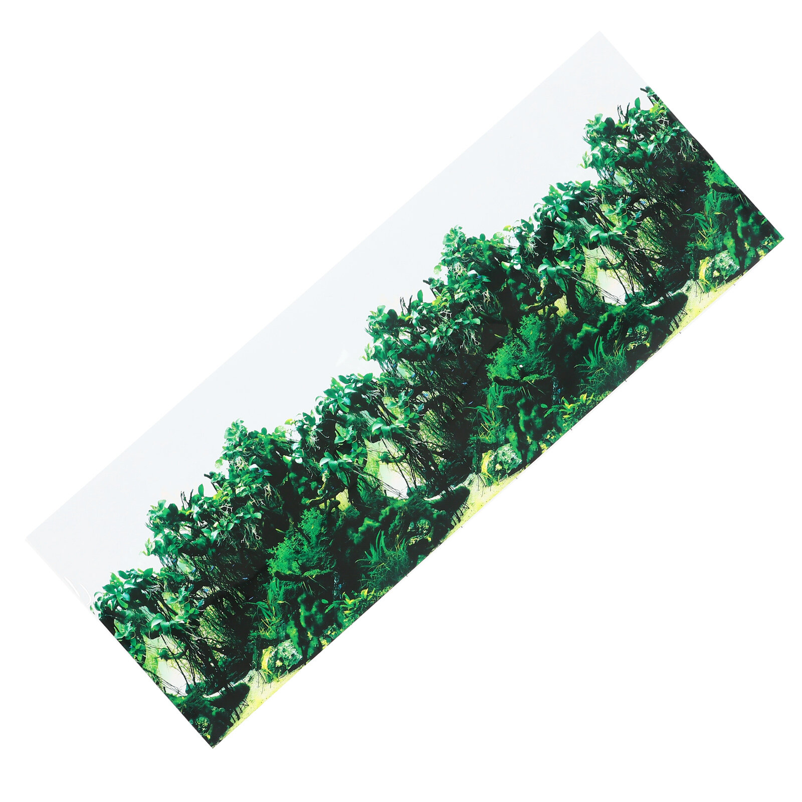 Fish Tank Background Paper Terrarium Decor Decorations 3d Wallpaper