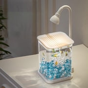Fish Tank,Fake Aquarium,Desktop Fighting Fish Tank High Transparent,Mini Self-Cleaning Aquarium LED Cube Ecosystem, Desktop Aquarium Starter Kit LED Lighting Design10*6*4IN