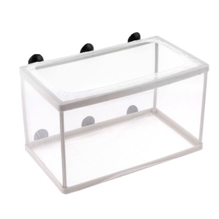 Unique Bargains Fish Tank Aquarium Plastic Frame Net Fry Hatchery Breeder w 6 x Suction Cups
