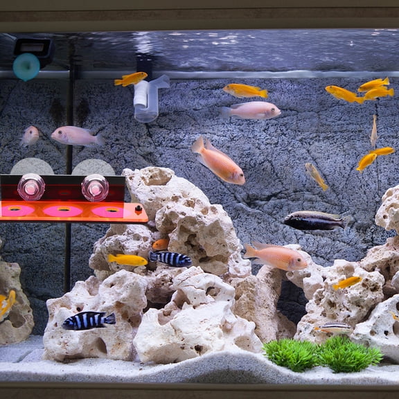 Fish Tank Reef Rack Acrylic Coral Frag Holder Coral Breeding Base Aquarium Supply Red