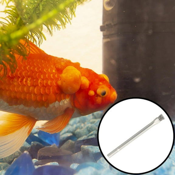 Fish Tanks Cleaning Brush Scrubber,Aquarium Cleaning Tools Fish Tanks Glass Maintenance Tools Long Handle Cleaner Remover for Pond, Home 304 Stainless