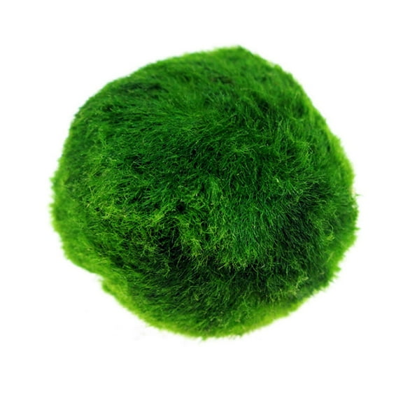 Fish Tanks Moss Aquarium Decors Green Moss Live Moss Fish Habitat Ornament for Home and Office