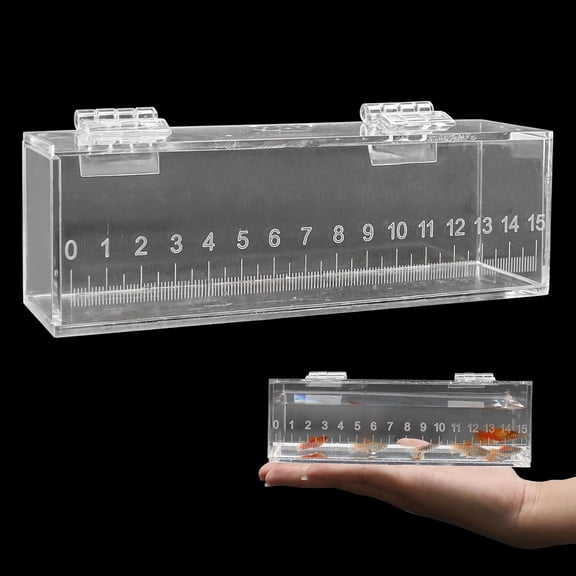 Fish Viewing Box Container with Lid and Scale Acrylic Portable Fishing Mini Aquarium Small Breeder Hatching Boxes Safe Tank Case for Breeding Egg Photo Isolation Outdoor Indoor