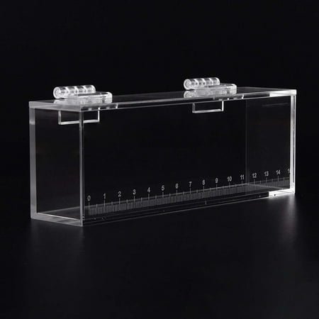 Fish Watching Box Breeder Box Acrylic Photo Box Fishing L