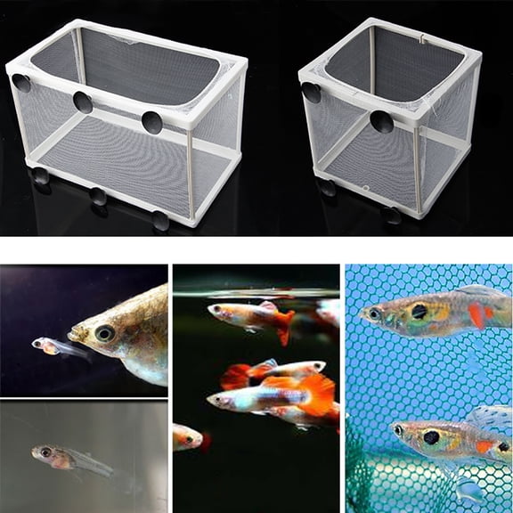 Fish for Aquarium Guppy Breeding Breeder Fish Gauze Box Isolator