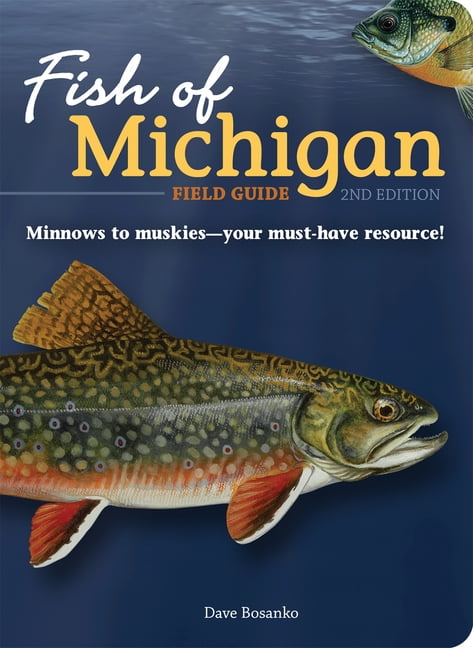 DAVE BOSANKO Fish Identification Guides Fish of Michigan Field Guide, (Paperback)
