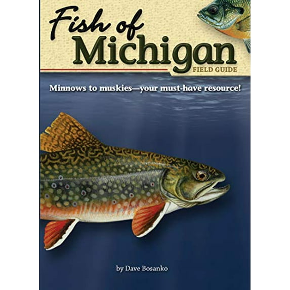 Pre-Owned Fish of Michigan Field Guide (Paperback) 1591931932 9781591931935