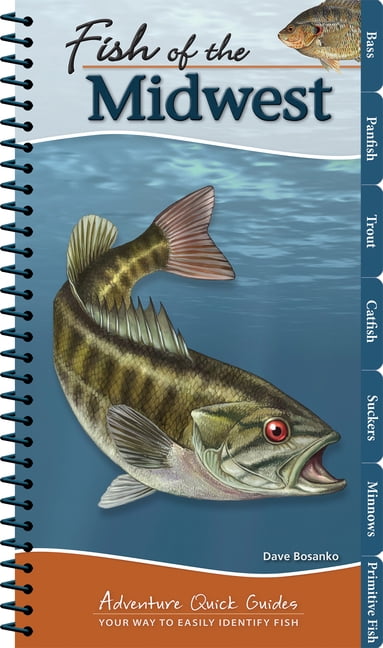 Adventure Quick Guides Fish of the Midwest: Your Way to Easily