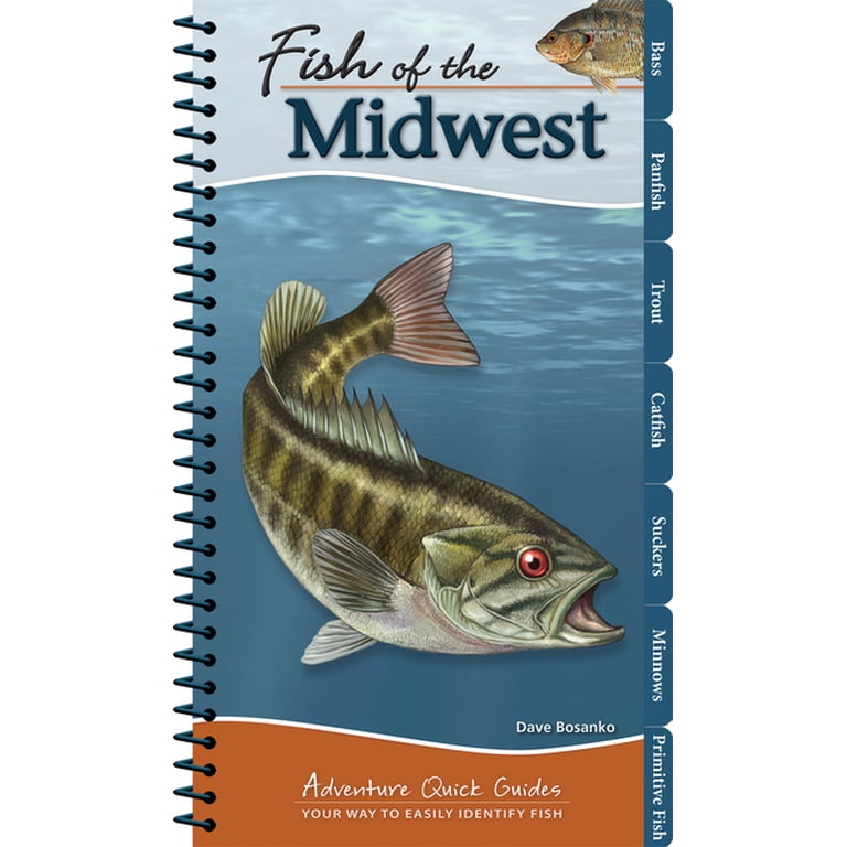 Adventure Quick Guides Fish of the Midwest: Your Way to Easily