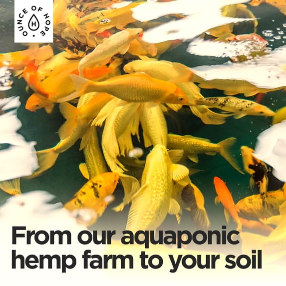 FishPoop Regenerative Vegetables Natural Liquid Fertilizer, 1 gal with UV Resistant