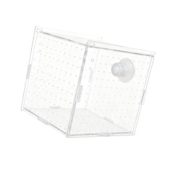FishTank Separation Breeder Box Clear Floating Breeding Isolation Box Aquarium Small Hatchery Incubator