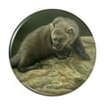 thumbnail image 1 of Fisher Cat Pinback Button Pin, 1 of 5