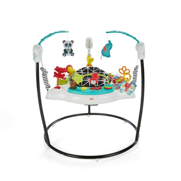 Fisher-Price Baby Bouncer Animal Wonders Jumperoo Activity Center with Music and Lights, Unisex