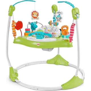 Fisher price baby bouncer walmart shop