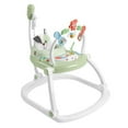 thumbnail image 1 of Fisher-Price Baby Bouncer SpaceSaver Jumperoo Activity Center, 1 of 6