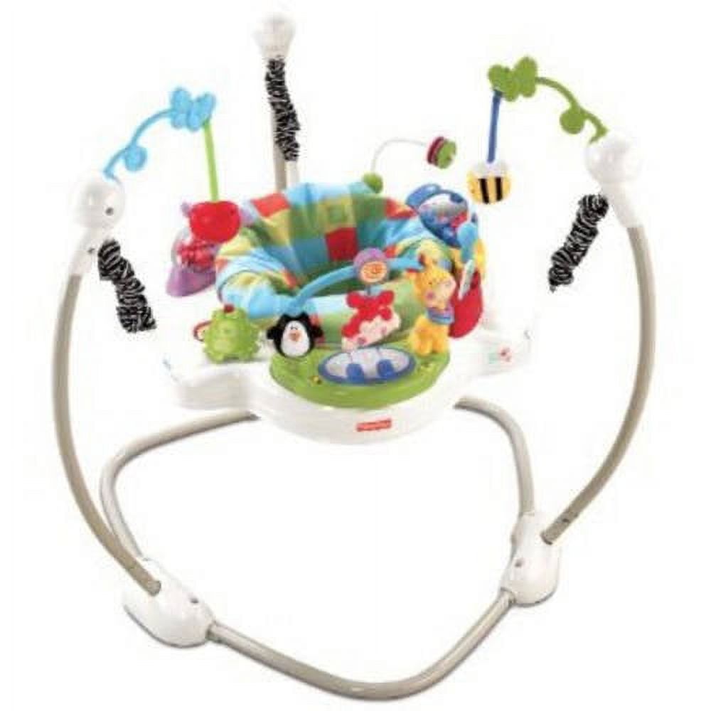 Fisher-Price Discover 'n Grow Jumperoo - image 1 of 7