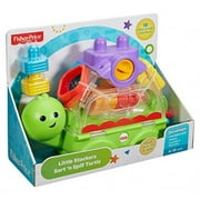 Fisher Price Little Stackers Sort 'N Spill Turtle