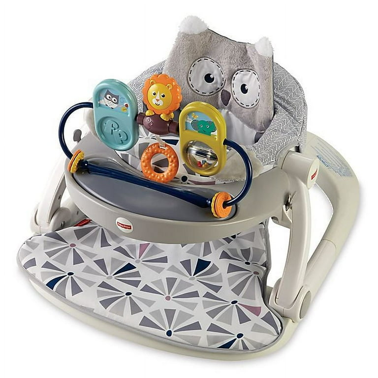 Fisher Price Owl Sit Me Up Floor Seat