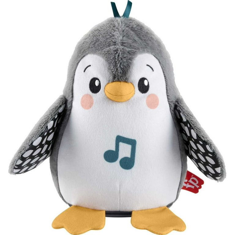 Fisher-Price Baby Explore Infant Sensory Gym, Plush Tummy