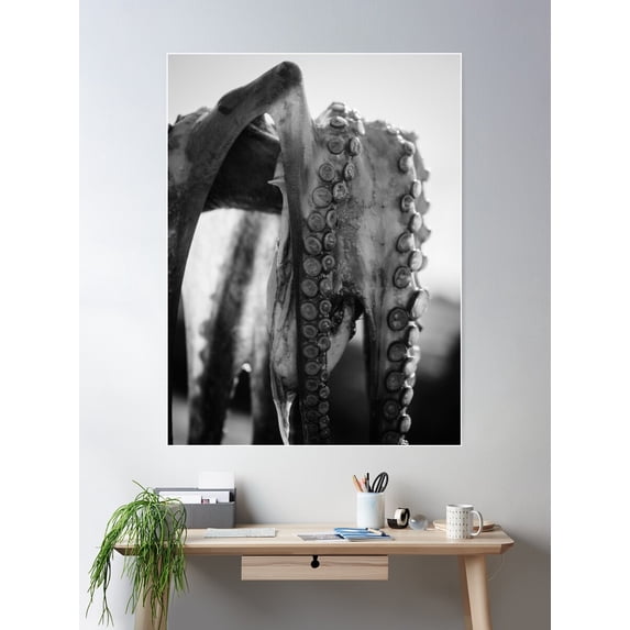 Fisherman Holding Octopus, Black & White, Fine Art Photo, Kitchen Photography, Fish Shop, Restaurant Poster Wall Art, Modern Wall Decor For Living Room Bedroom, 12x18 UNFRAMED