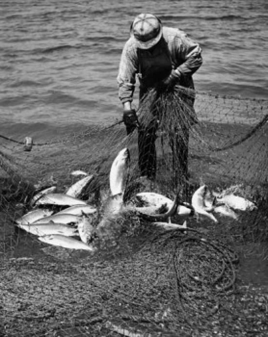 Fisherman catching shad fish in the sea Canvas Art - (18 x 24)