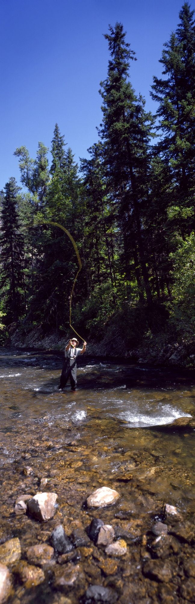 Fisherman flyfishing in river Spearfish Lawrence County South Dakota USA Canvas Art - Panoramic Images (27 x 9)