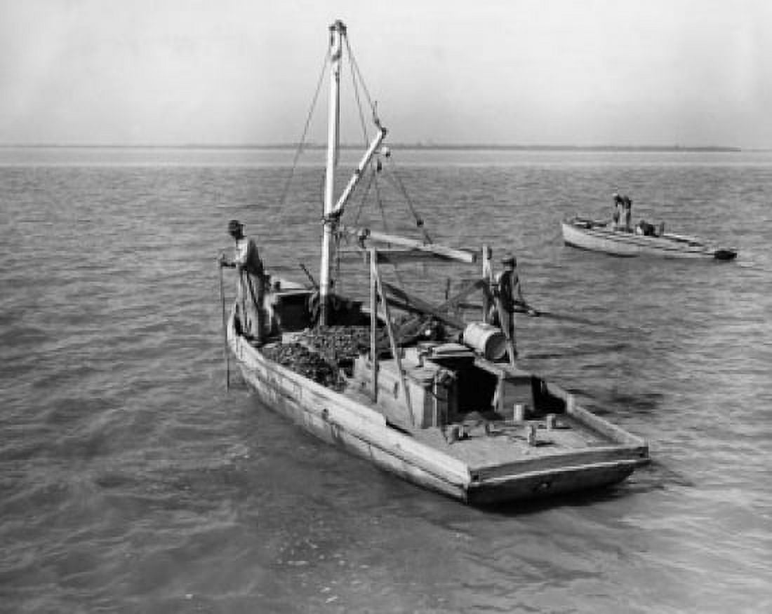 Fisherman raking oysters on a fishing boat Apalachicola Bay Florida USA Canvas Art - (24 x 36)