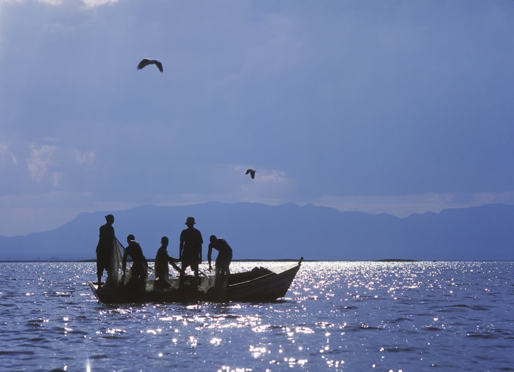 Fishermen Pulling Fishing Nets On Small Boat On Lake Chilwa Canvas Art - Ian Cumming Design Pics (36 x 26)