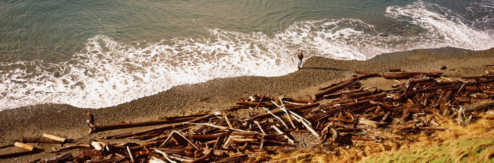Fishermen on the shore Whidbey Island Island County Washington State USA Canvas Art - Panoramic Images (36 x 12)