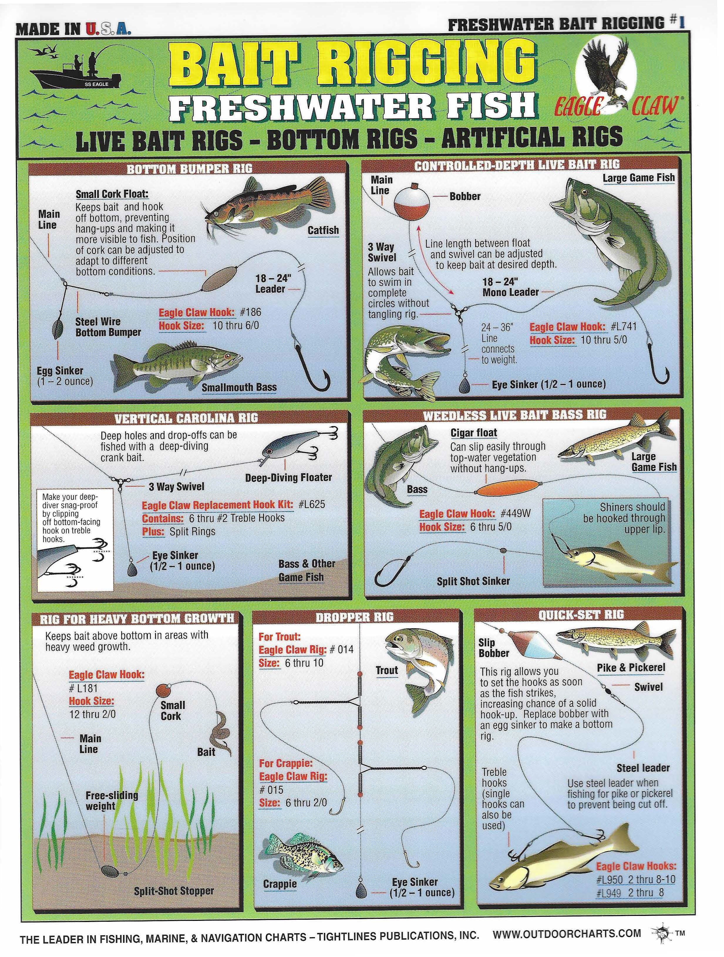 Freshwater Rig Freshwater Bait Rigging Guide #1 - Waterproof Quick Reference - (Live ...
