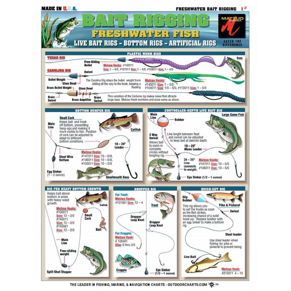 Freshwater Bait Rigging Chart - Waterproof Fishing Rig Guide, Quick Reference Card, Great for Bass Fishing