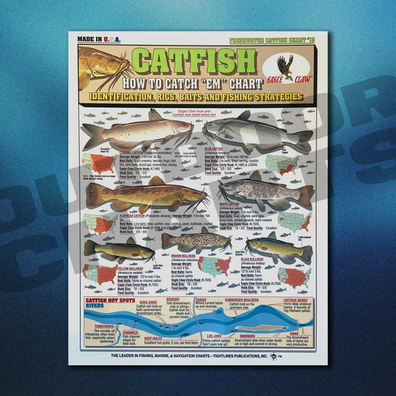 Fishermen's How to Catch 'Em Catfish Chart #13 (Identification, Rigs,  Fishing Strategies)