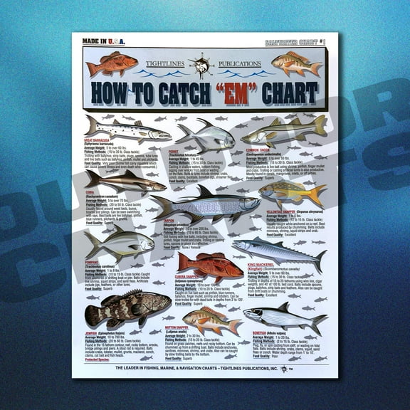 Fishermen's How to Catch 'Em Fish Identification Chart #1 (Saltwater)