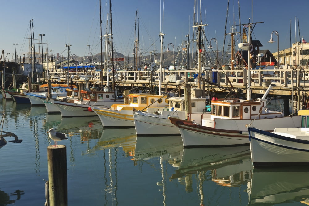 Fishermens Terminal San Francisco California United States Of America Canvas Art - Stuart Westmorland Design Pics (38 x 24)