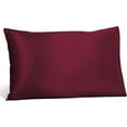 Fishers Finery 25mm 100 Pure Mulberry Silk Pillowcase 2 Pack Good