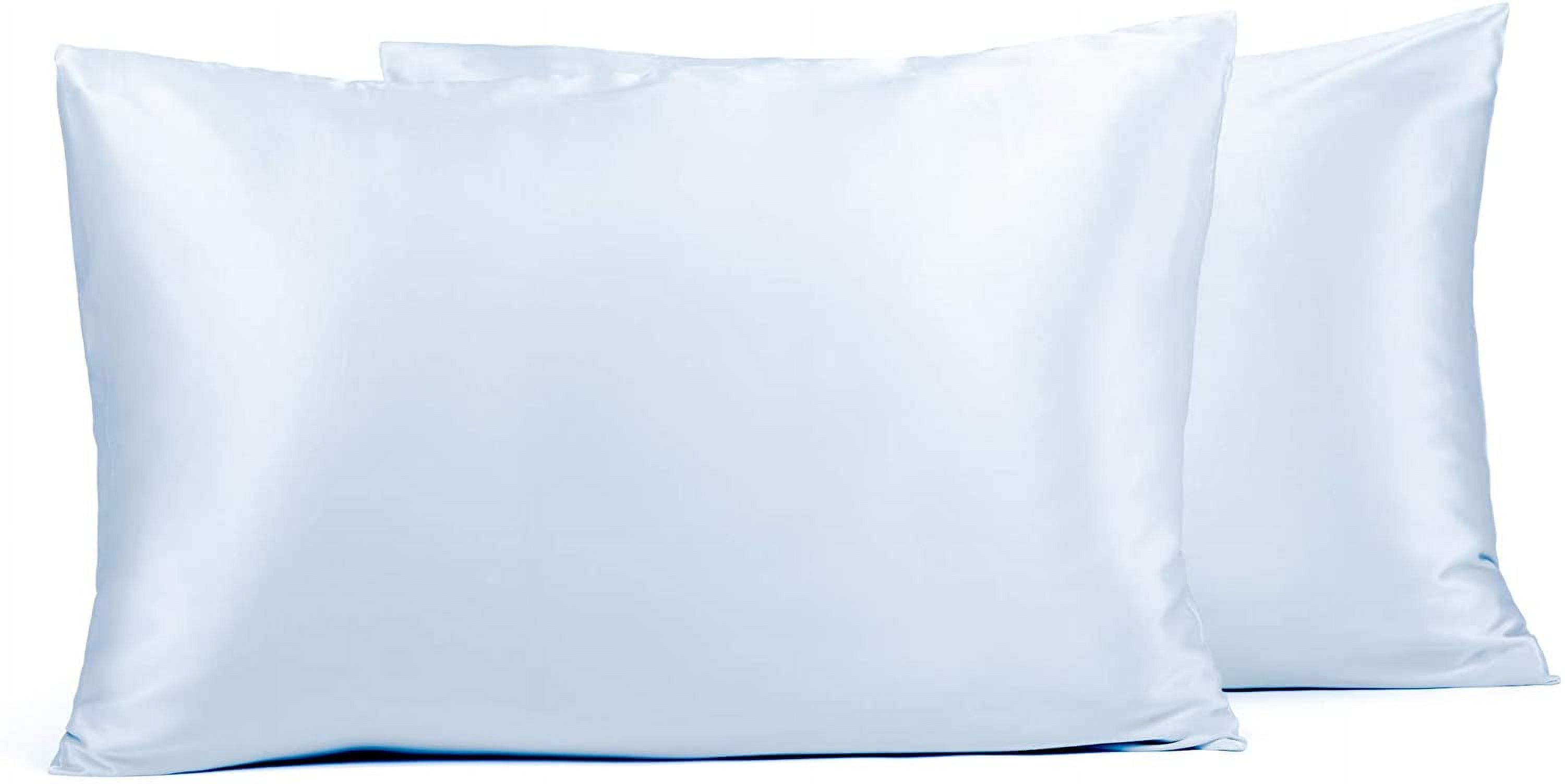 Fishers Finery 25mm 100 Pure Mulberry Silk Pillowcase 2 Pack Good