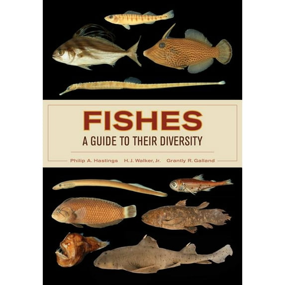 Fishes: A Guide to Their Diversity (Edition 1) (Paperback)