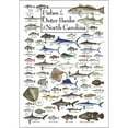 thumbnail image 1 of Fishes of the Outer Banks, a 550-piece Puzzle by Heritage Puzzles, 1 of 1