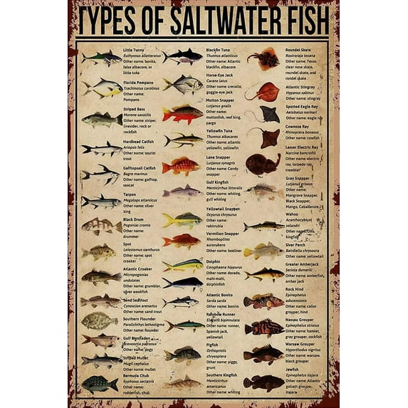 Fishing 200 Piece Jigsaw Puzzle For Adults And Families -Types Of Saltwater Fish Knowledge Wooden Jigsaw Puzzle - Family Fun & Leisure Beginner Jigsaw Puzzle Toys