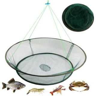 Outanaya 3pcs Minnow Traps for Bait Fish Pin Fishing Mini Traps